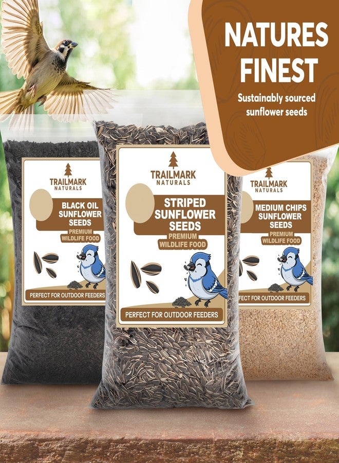 TRAILMARK NATURALS Striped Sunflower Seeds, Shelled Seeds for Birds – Premium Wildlife & Bird Food – Grown in USA - Striped Sunflowers for Backyard Feeders and Wild Birds (5 LB) - Image 5