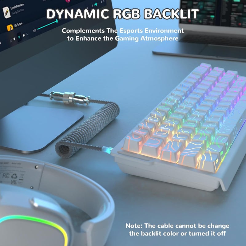 MAMBASNAKE كابل USB-C ملفوف من MAMBASNAKE للوحة المفاتيح المخصصة للألعاب مع إضاءة RGB، مضفر من النايلون مع موصل طيار ذو 4 دبابيس قابل للفصل، نوع C فائق السرعة مع معدل إرجاع 8 كيلوهرتز، طول 4.92 قدم (C01 ULTIMATE/أبيض-أسود) - Image 2