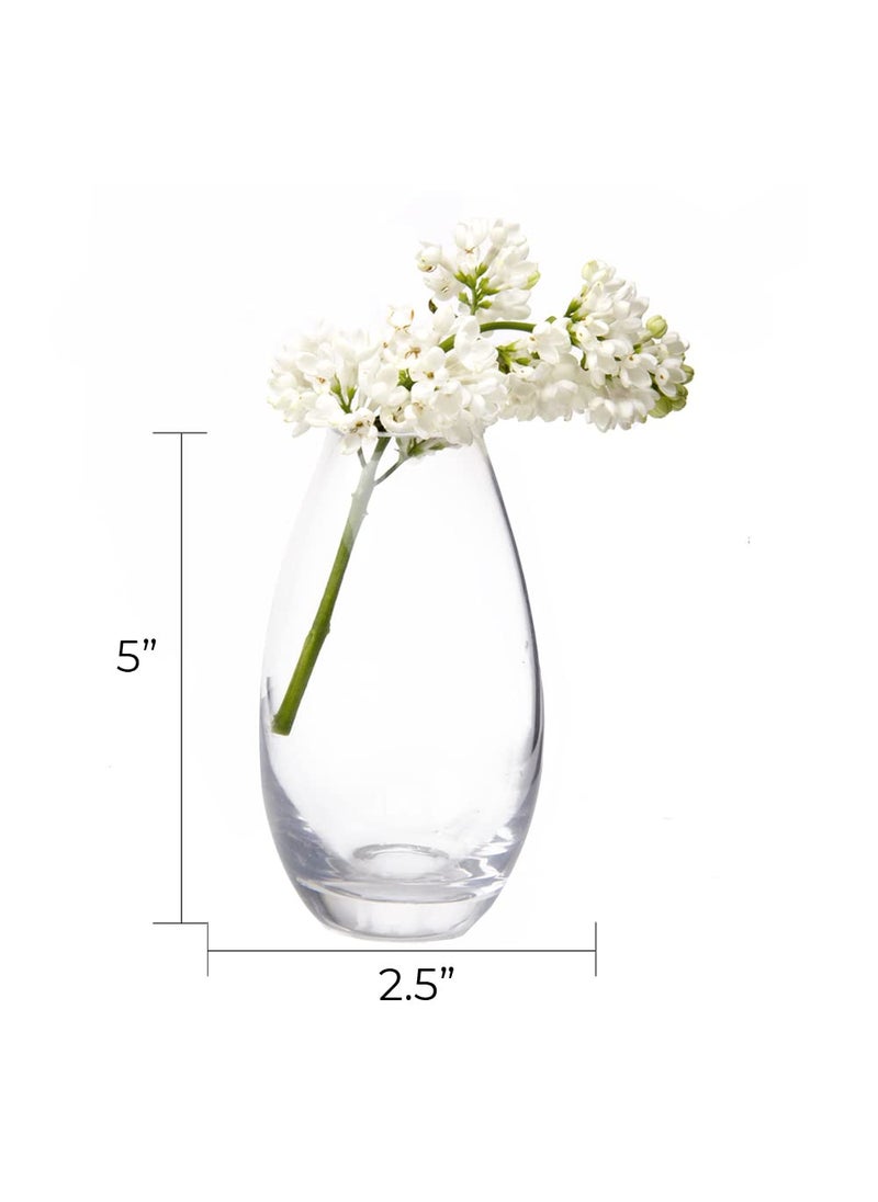 Chive CHIVE George Glass Bottle Flower Vases - Set of 6 - Small  Elegant Clear Glass Bud Vases - Bulk Pack for Home Decor & Table Centerpieces - Shape 5 (Oval  5  Tall  2.5  Wide)  - Image 3