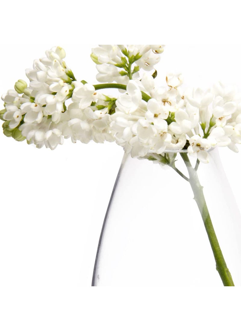 Chive CHIVE George Glass Bottle Flower Vases - Set of 6 - Small  Elegant Clear Glass Bud Vases - Bulk Pack for Home Decor & Table Centerpieces - Shape 5 (Oval  5  Tall  2.5  Wide)  - Image 4