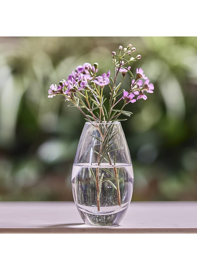 Chive CHIVE George Glass Bottle Flower Vases - Set of 6 - Small  Elegant Clear Glass Bud Vases - Bulk Pack for Home Decor & Table Centerpieces - Shape 5 (Oval  5  Tall  2.5  Wide)  - Image 5