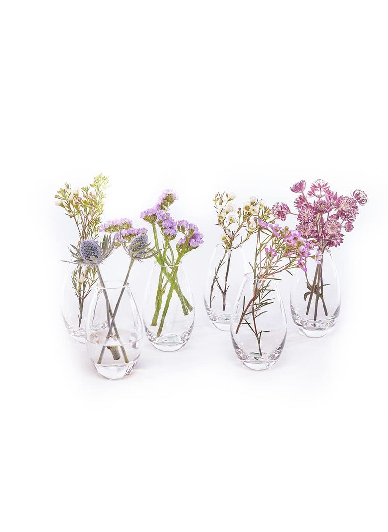 Chive CHIVE George Glass Bottle Flower Vases - Set of 6 - Small  Elegant Clear Glass Bud Vases - Bulk Pack for Home Decor & Table Centerpieces - Shape 5 (Oval  5  Tall  2.5  Wide)  - Image 1