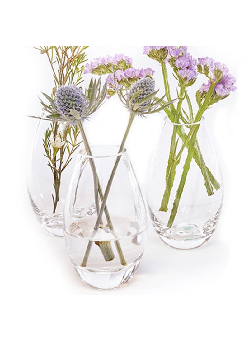 Chive CHIVE George Glass Bottle Flower Vases - Set of 6 - Small  Elegant Clear Glass Bud Vases - Bulk Pack for Home Decor & Table Centerpieces - Shape 5 (Oval  5  Tall  2.5  Wide)  - Image 2