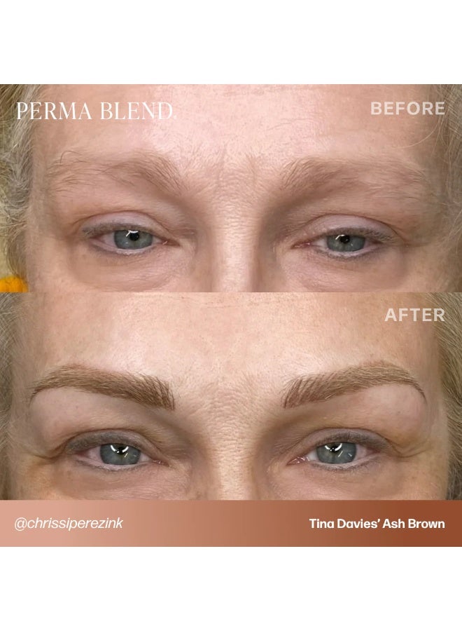 Perma Blend Eyebrow Pigment – Tina Davies I Love Ink Ash Brown 15ml | Professional Permanent Makeup Brow Tattoo Ink for Microblading, Ombre & Powder Brows | Vegan, High Retention, True-to-Tone Color | SKU: PBTDASHB1/2 - Image 2