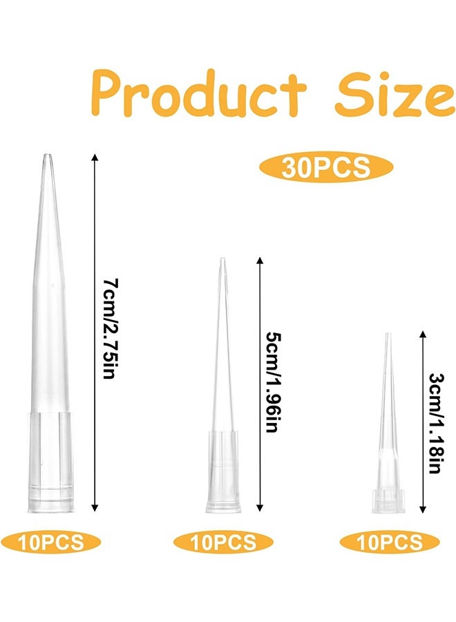 30 Pcs Plastic Flower Stems Tube Holder Fresh Flower Cake Spikes Pointed End Flowers Arrangement Holders for DIY Valentine's Day Crafts - Image 2