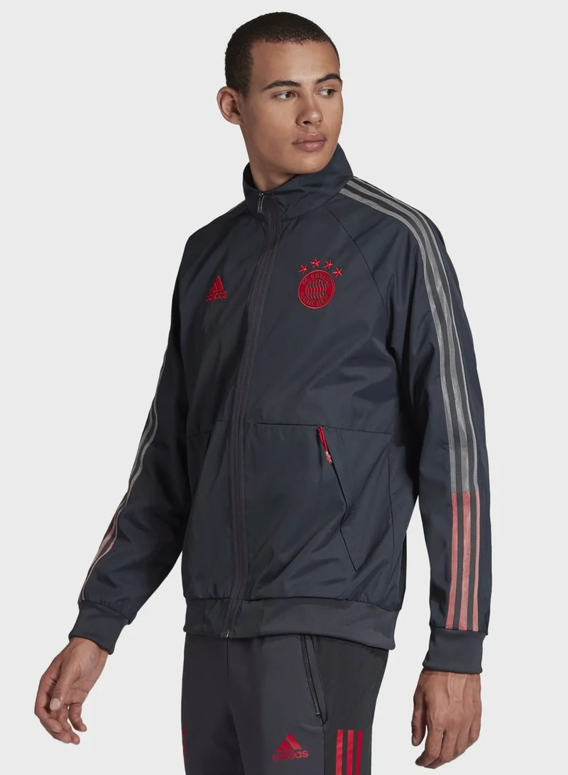 Adidas FC Bayern Anthem Track Jacket