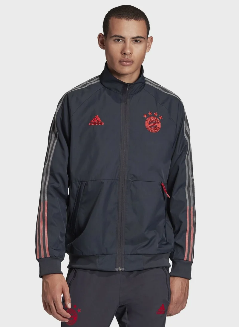 Adidas FC Bayern Anthem Track Jacket