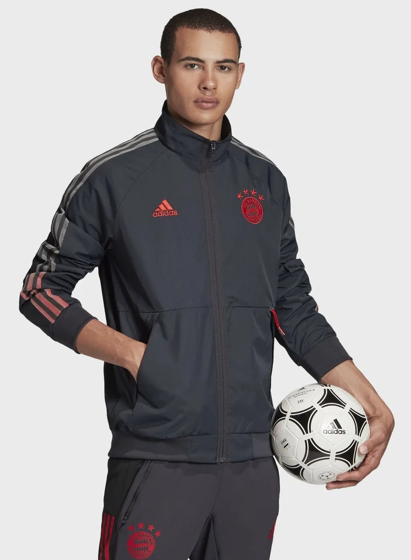 Adidas FC Bayern Anthem Track Jacket
