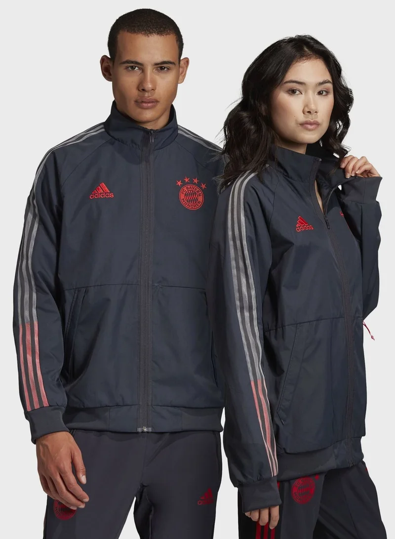 Adidas FC Bayern Anthem Track Jacket