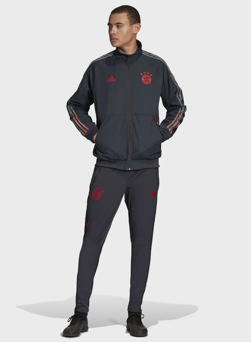 Adidas FC Bayern Anthem Track Jacket