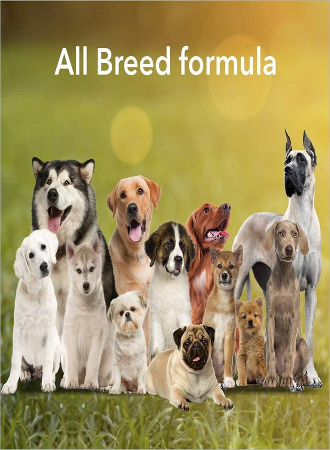 Pups&Pets Dog Munchy Sticks, Mutton Flavor, Dog Treats, 500 Gm (Buy 1 Get 1 Free) - Image 2