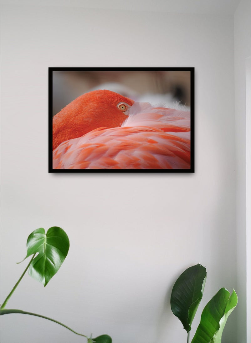Spoil Your Wall Wall Posters with Flamingo in the Wild Picture and Black Frame - Wall Arts Home Décor Photo Frames - 40x55cm by Spoil Your Wall  - Image 1