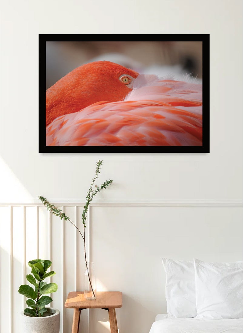 Spoil Your Wall Wall Posters with Flamingo in the Wild Picture and Black Frame - Wall Arts Home Décor Photo Frames - 40x55cm by Spoil Your Wall  - Image 2