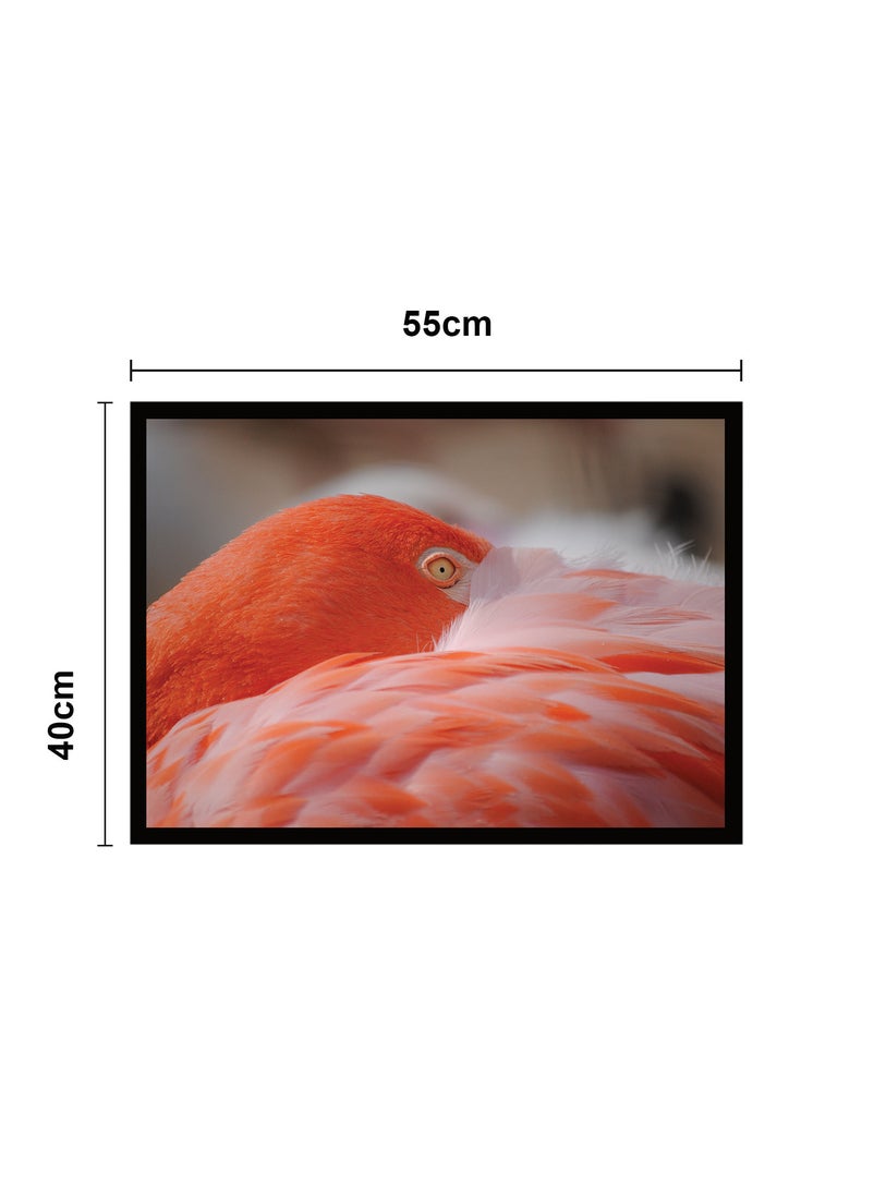 Spoil Your Wall Wall Posters with Flamingo in the Wild Picture and Black Frame - Wall Arts Home Décor Photo Frames - 40x55cm by Spoil Your Wall  - Image 3