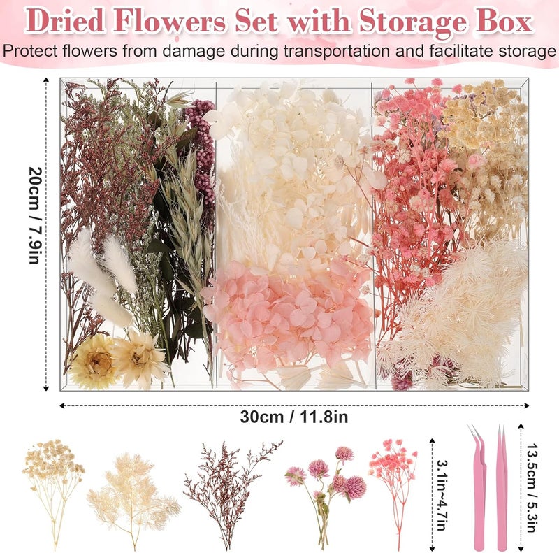 Comkrivy Real Dried Flowers 100% Natural Dried Flowers, Mixed Colors Dried Leaf Flowers for DIY Arts and Crafts Candles Resin Jewelry Nail Pendant Cards Scrapbooking Wedding Home Decoration (Pink) - Image 2