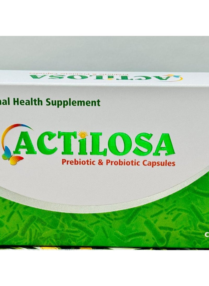 Actilosa - Actilosa Capsules 30's - Image 1