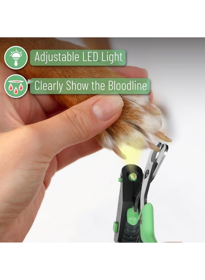Mr. Pen Mr. Pen- Cat Nail Clipper with Adjustable LED Light, Green Cat Nail Trimmer, Cat Claw Clippers, Cat Clippers for Nails, Pet Nail Clippers, Kitten Nail Clipper, Small Dog Nail Clipper Cat Claw Trimmer - Image 4