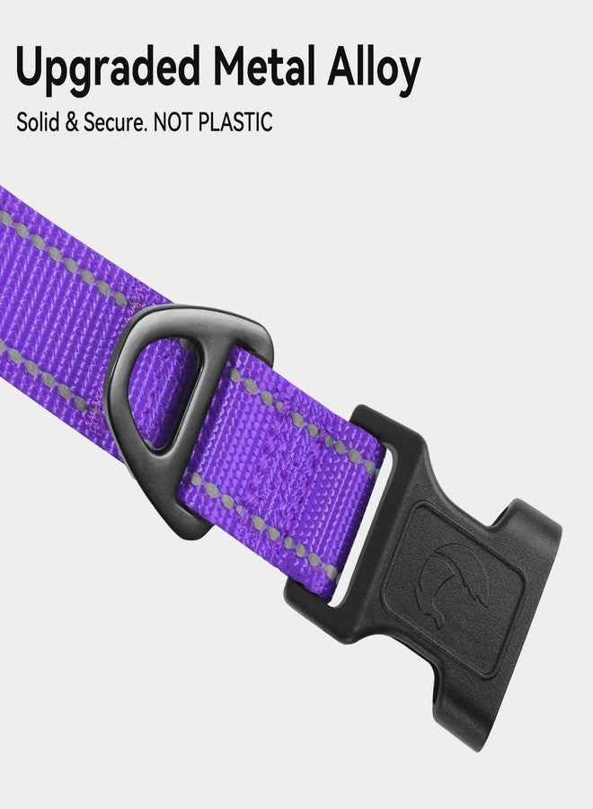 Joytale Reflective Dog Collar, Soft Neoprene Padded, Metal D-Ring, Nylon Pet Collar Adjustable for Puppy and Small Dogs, Purple, XS - Image 3