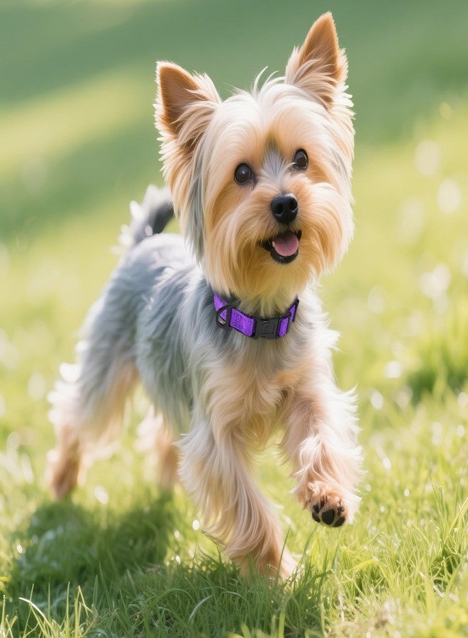 Joytale Reflective Dog Collar, Soft Neoprene Padded, Metal D-Ring, Nylon Pet Collar Adjustable for Puppy and Small Dogs, Purple, XS - Image 2