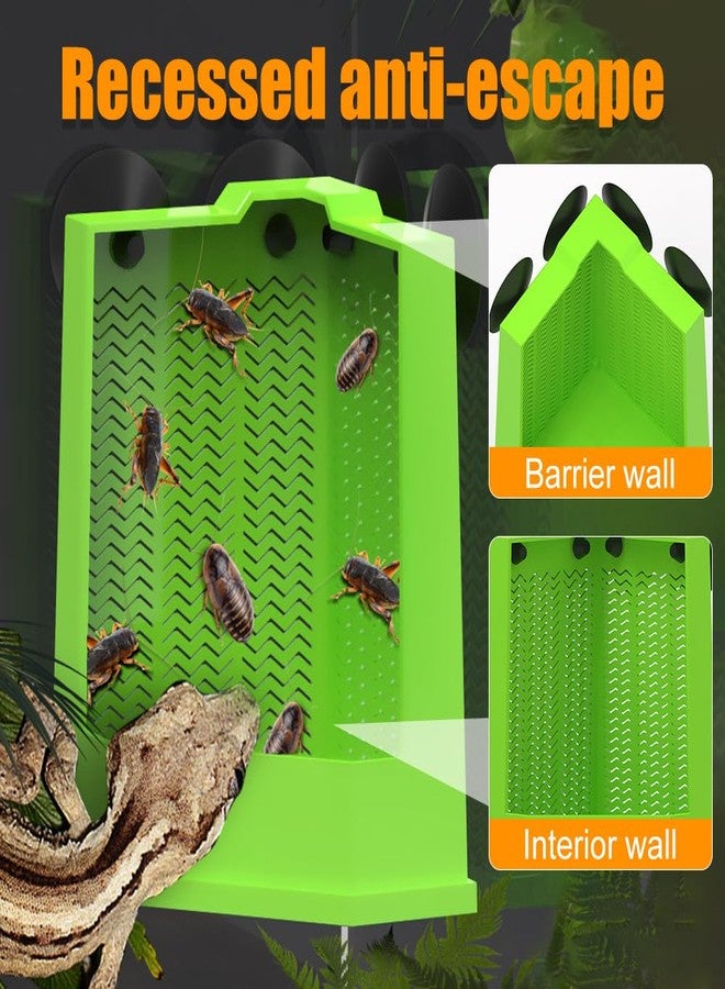 DONGKER Bearded Dragon Feeder,Anti-Escape Lizard Corner Terrarium Bowl with Suction Cups for Lizard Bearded Dragon Gecko Frog - Image 5