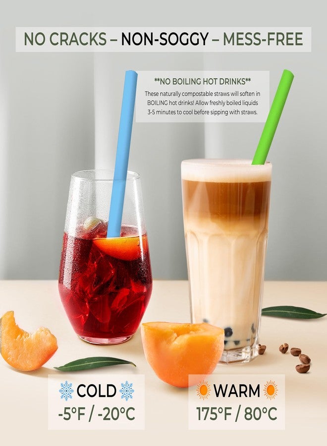 EcoPreps Colorful Biodegradable Jumbo Smoothie Straws, Bamboo Fiber Boba Straws - 100 PCS, Extra Wide, 100% Compostable, Plastic-Free, Eco-Friendly Thick Straw - 8.25" Long Disposable Bamboo Straw Set - Image 5