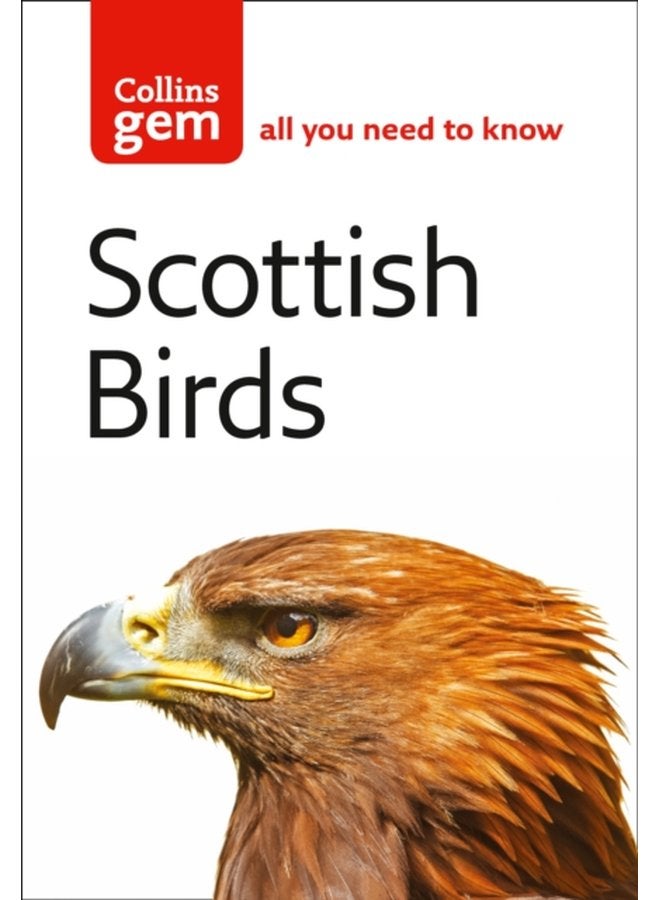 Scottish Birds - Paperback