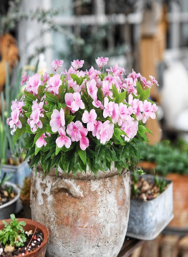 CITYES 4 Pcs Artificial Flowers Outdoor Impatiens UV Resistant Silk Impatiens Flowers Pink Faux Flowers Impatiens Bushes Artificial Impatiens for Pot Patio Lawn Garden Hanging Basket Porch Decor - Image 5