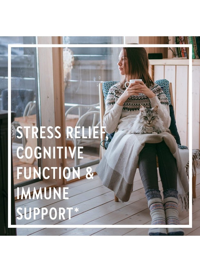 New Chapter Stress Relief Supplement Holy Basil Force With Supercritical Holy Basil For Stress Support + Immune Support + Nongmo Ingredients Vegetarian Capsules 120 Count - Image 3