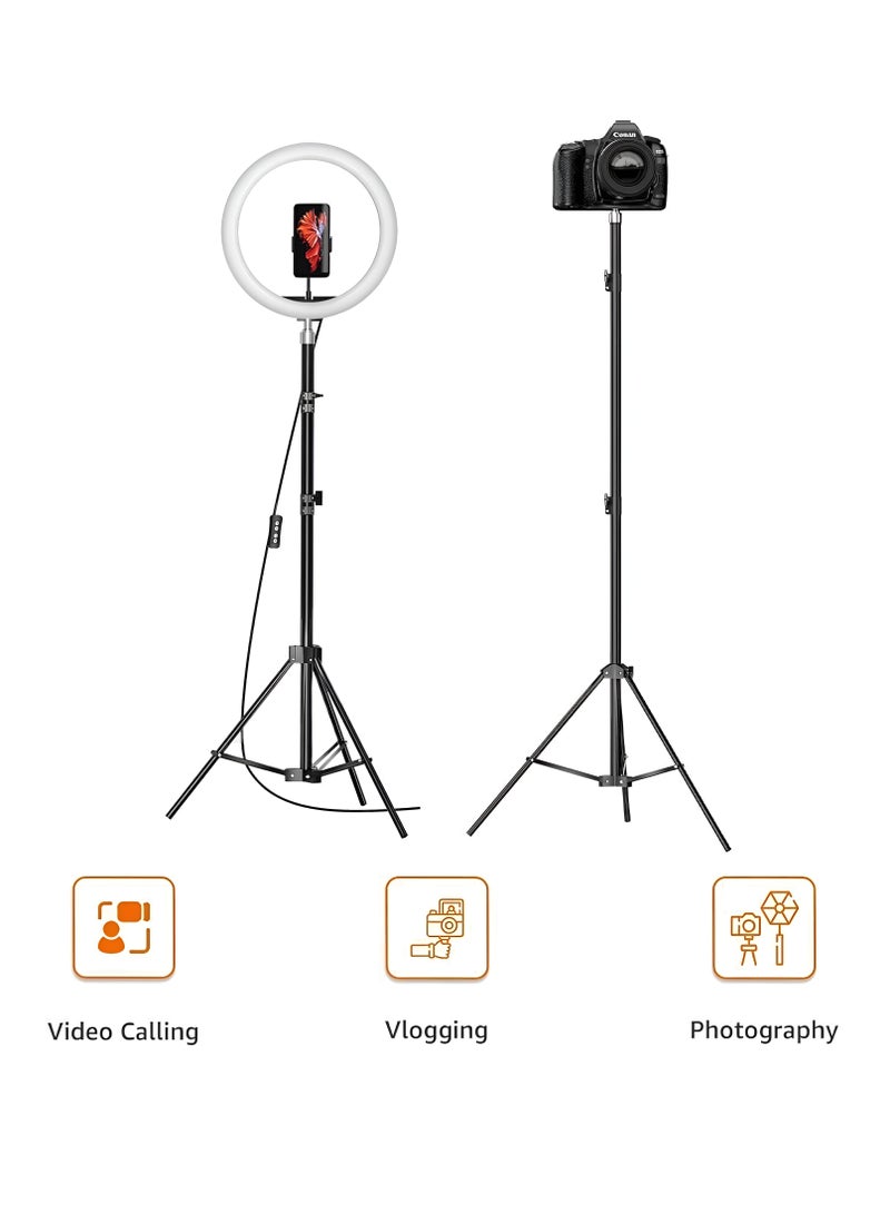 فيندكس حلقة ضوء 30 سم RGB LED مع حامل ثلاثي القوائم قابل للتعديل حتى 78 بوصة، ألوان RGB، 10 مستويات سطوع - مثالية للمكياج، حلقة ضوء للتصوير الفوتوغرافي، التصوير، صور شخصية ومكالمات الفيديو وأفضل لإنشاء المحتوى - Image 2