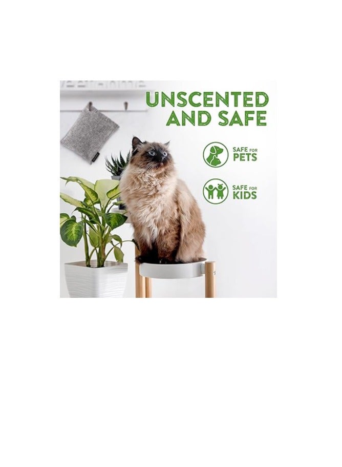 BASIC CONCEPTS Charcoal Odor Absorber for Strong Odor (6 Pack, 100g each), Bamboo Charcoal Air Purifying Bag, Basement Musty Odor Eliminator Deodorizer, Activated Charcoal Odor Absorber for Closet, Shoe, Car - Image 3