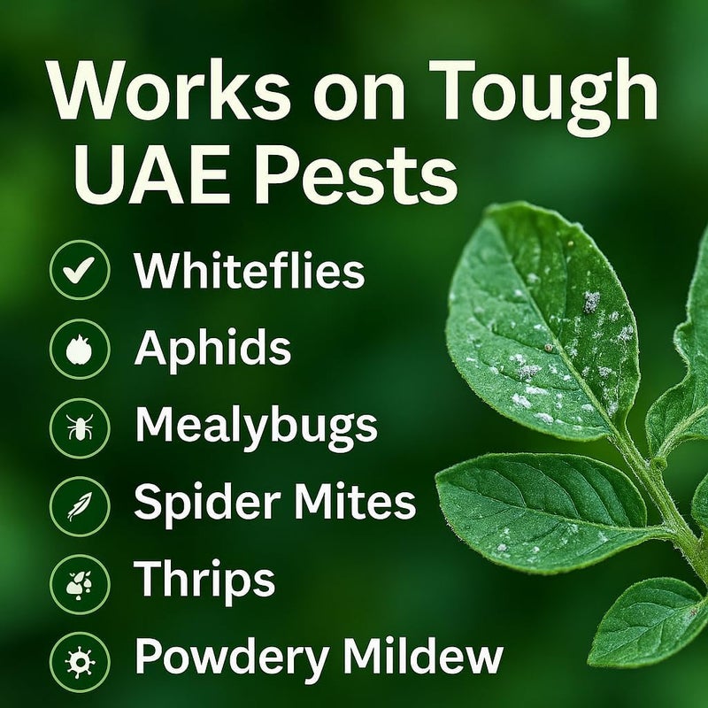 فيجرو برايم Vgrow Plant Shield – حماية طبيعية للحدائق المنزلية | مكافحة حشرات وفطريات بطريقة آمنة للنباتات، 200 مل - Image 3