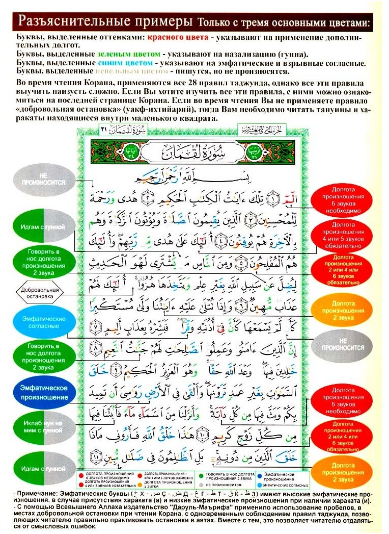 REBENUO Tajweed Quran with transliteration and Russian translation, large size 24/17  - Image 3