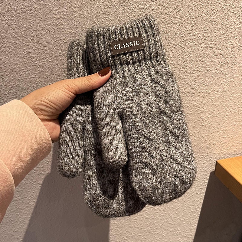 Gloves mens winter warm cold-proof thickened fleece-lined fashion trendy student Mens wool bag finger finger autumn and winter tide Light gray 