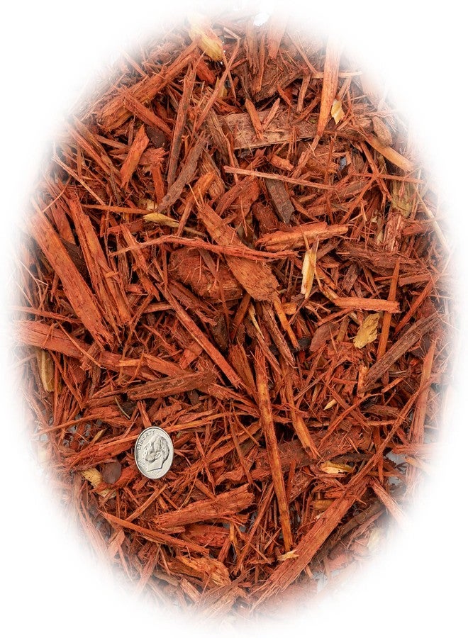 Gardenera Premium Red Mulch Cover - Enhance Your Landscape with Vibrant Color and Nutrient-Rich Benefits - 1 Quart - Image 2