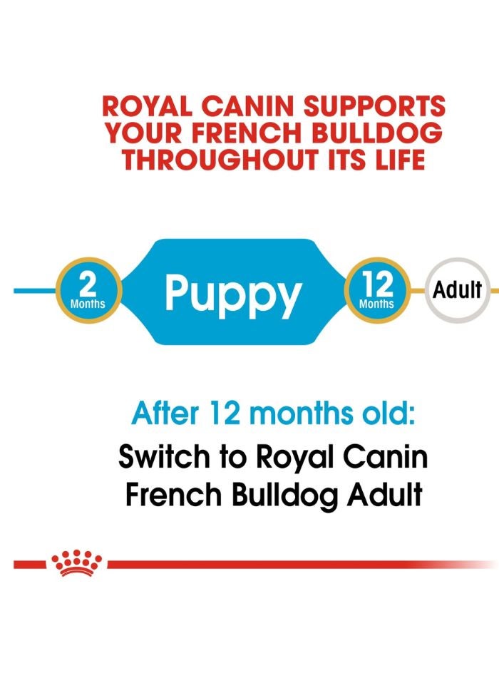 ROYAL CANIN Breed Health Nutrition French Bulldog Puppy 3 KG - Image 4