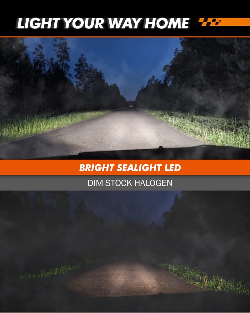 SEALIGHT مصباح ضباب LED SEALIGHT H11 H16، حجم مصغر حقيقي 1:1، 6500K أبيض بارد 6000LM مصابيح ضباب H8/H16 LED للسيارات والشاحنات وSUV، سطوع 400% مع اختراق قوي، تركيب سهل خلال 3 دقائق، عبوة من 2 - Image 2