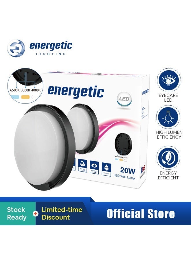 Energetic LED Outdoor Wall Light/Bulkhead ZDL1110-Y 20W CCT(3000K/4000K/6500K Switchable) IP65 - Image 1