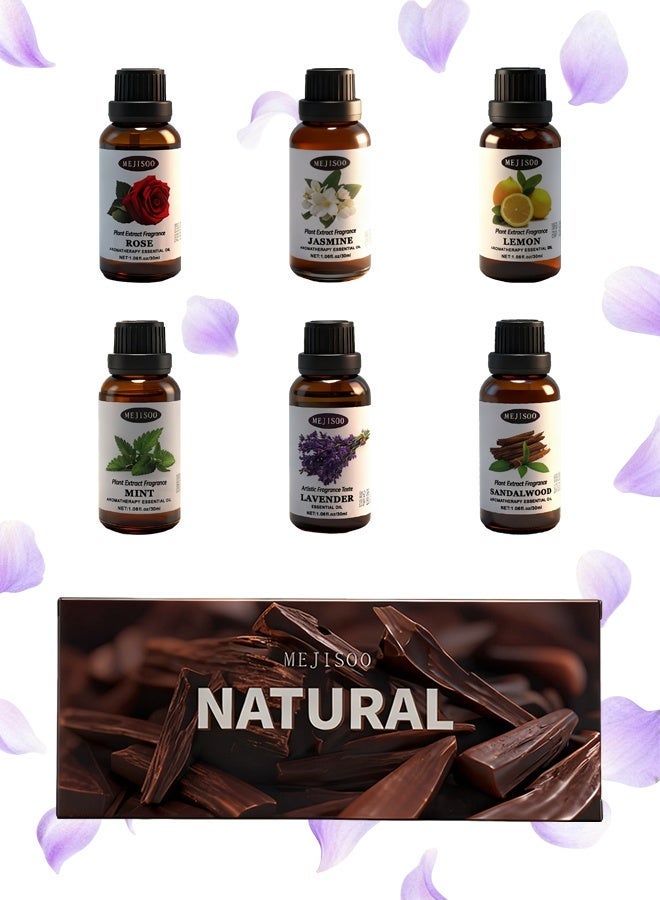 ميجيسو مجموعة زيوت عطرية (٦ روائح) بسعة كبيرة - أفضل زيت عطري للمباخر والمرطبات والقلائد - زيت عطري للعلاج بالروائح - الخيار الأول كزيت عطري منزلي - هدية زيت عطري فاخرة عالية الجودة - Image 2