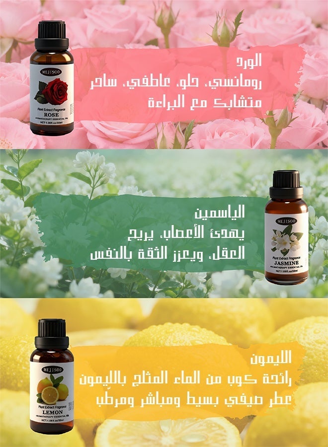 ميجيسو مجموعة زيوت عطرية (٦ روائح) بسعة كبيرة - أفضل زيت عطري للمباخر والمرطبات والقلائد - زيت عطري للعلاج بالروائح - الخيار الأول كزيت عطري منزلي - هدية زيت عطري فاخرة عالية الجودة - Image 3