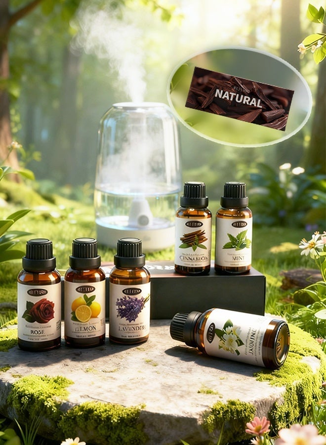 ميجيسو مجموعة زيوت عطرية (٦ روائح) بسعة كبيرة - أفضل زيت عطري للمباخر والمرطبات والقلائد - زيت عطري للعلاج بالروائح - الخيار الأول كزيت عطري منزلي - هدية زيت عطري فاخرة عالية الجودة - Image 4