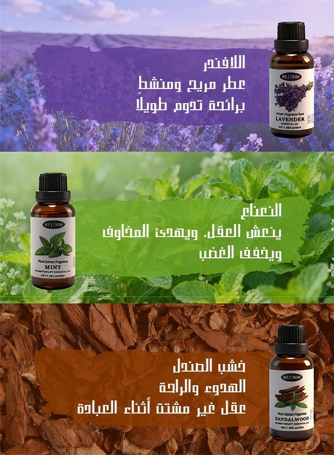 ميجيسو مجموعة زيوت عطرية (٦ روائح) بسعة كبيرة - أفضل زيت عطري للمباخر والمرطبات والقلائد - زيت عطري للعلاج بالروائح - الخيار الأول كزيت عطري منزلي - هدية زيت عطري فاخرة عالية الجودة - Image 5