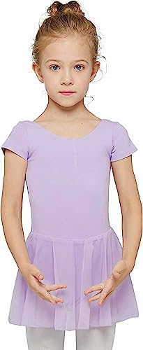 MdnMd Dance Ballet Leotards for Girls Toddler Purple with Tutu Skirt Outfit Dress (Lavender Purple, Age 4-6 / 4t,5t) - Image 1