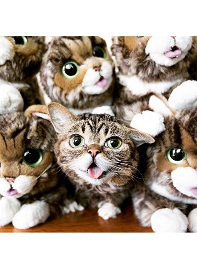 Cuddle Barn - Lil BUB | Soft Adorable Kitten Stuffed Animal Plush Toy, 10 inches - Image 3