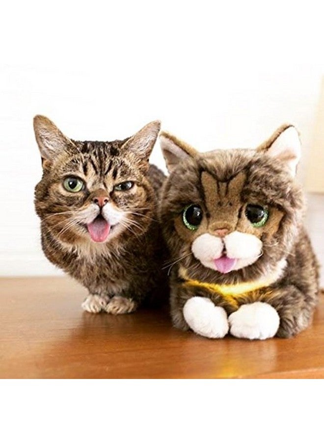 Cuddle Barn - Lil BUB | Soft Adorable Kitten Stuffed Animal Plush Toy, 10 inches - Image 2