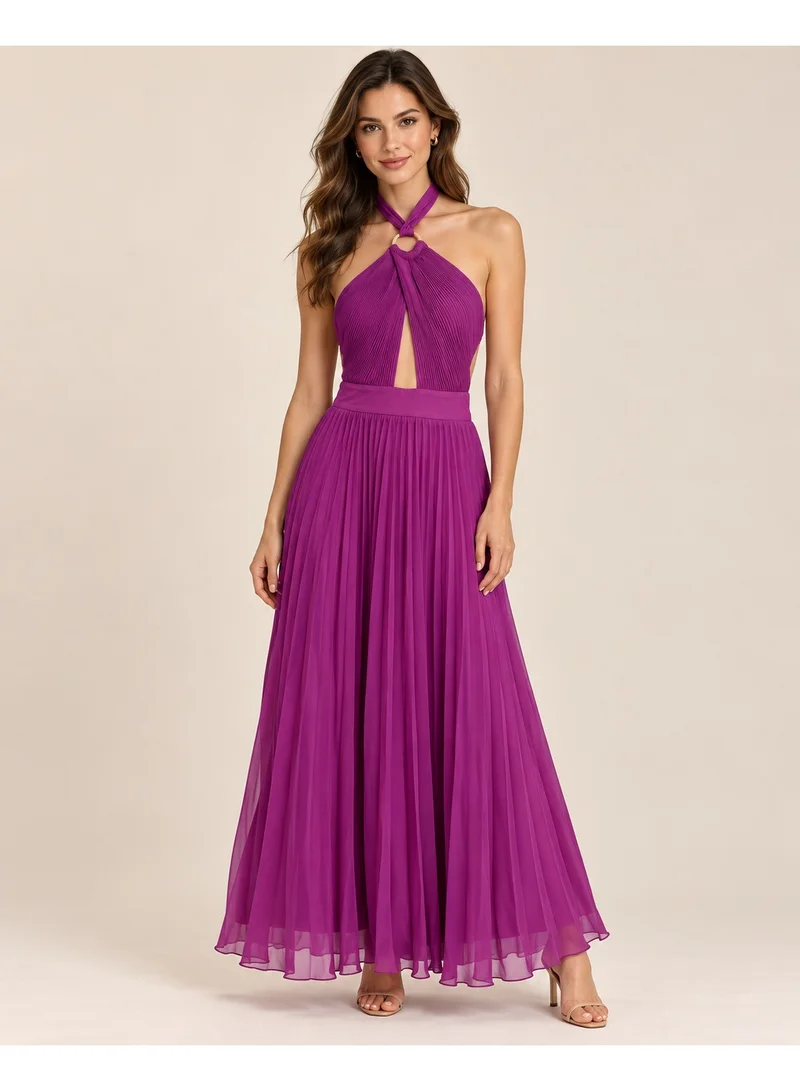 2Trendy Women's Purple Maxi Dress with Halter Neck, Open Back and Pleated Skirt