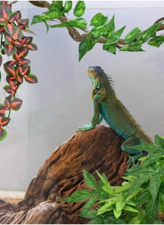 Reptile Plants, Vibrant Hanging Amphibian Plants with Suction Cup for Snake, Bearded Dragons, Toads, Hermit Crab Tanks , Perfect Habitat Decorations Your Pet Reptiles - pzsku/ZAAC7ECC1CFA1C84A3609Z/45/_/1702548270/87ce96fc-5a4e-4830-abc9-a3795c8b5781