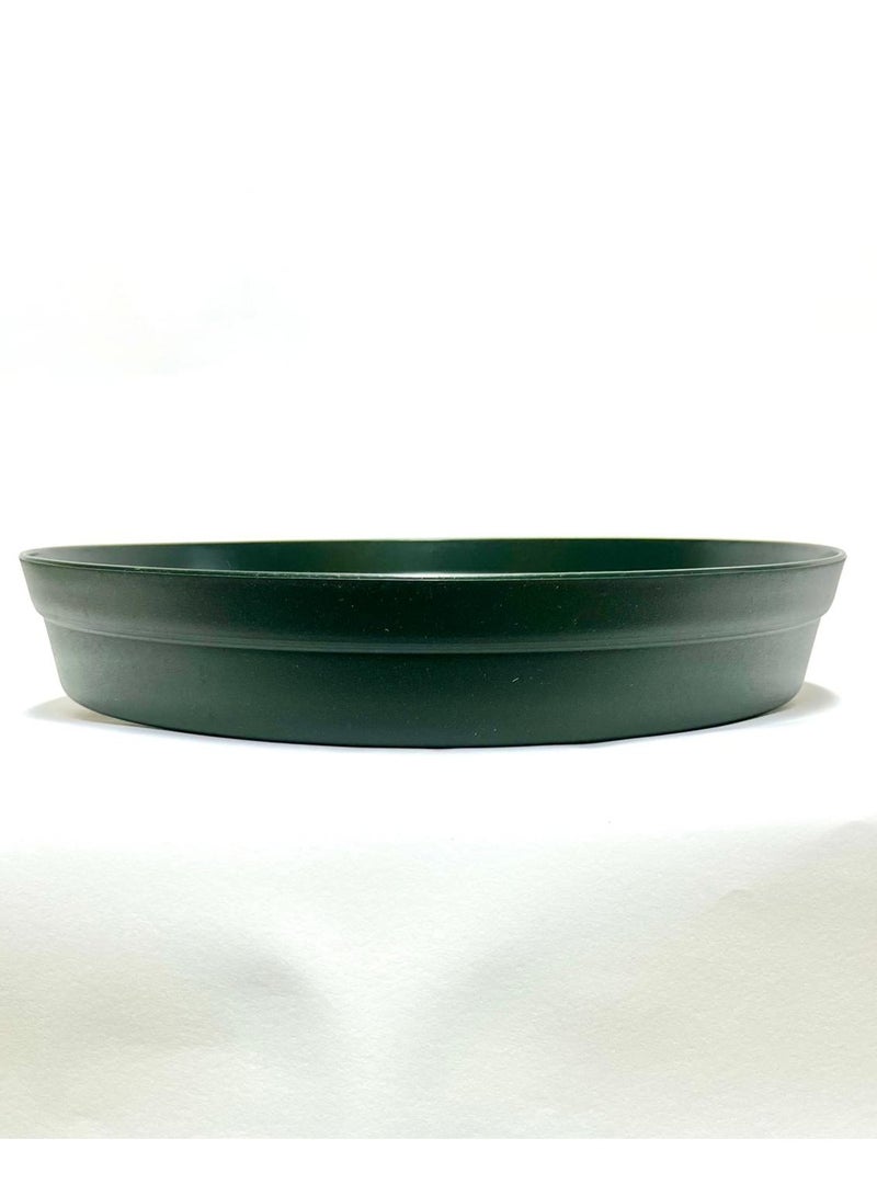 بوليوورك صحن وعاء ديكور بلاستيكي نباتات داخلي  دائري, لون أخضر،  فوليا 40 بولي وورك.  - Image 2