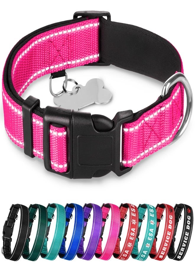TECEUM Reflective Dog Collar – Hot Pink – L – Extra Soft Padding – Basic Nylon Pet Collar – Quick Release Buckle – Fits Small, Medium and Large Dogs, Puppies, Cats – ESA & Service Dog Options - Image 1