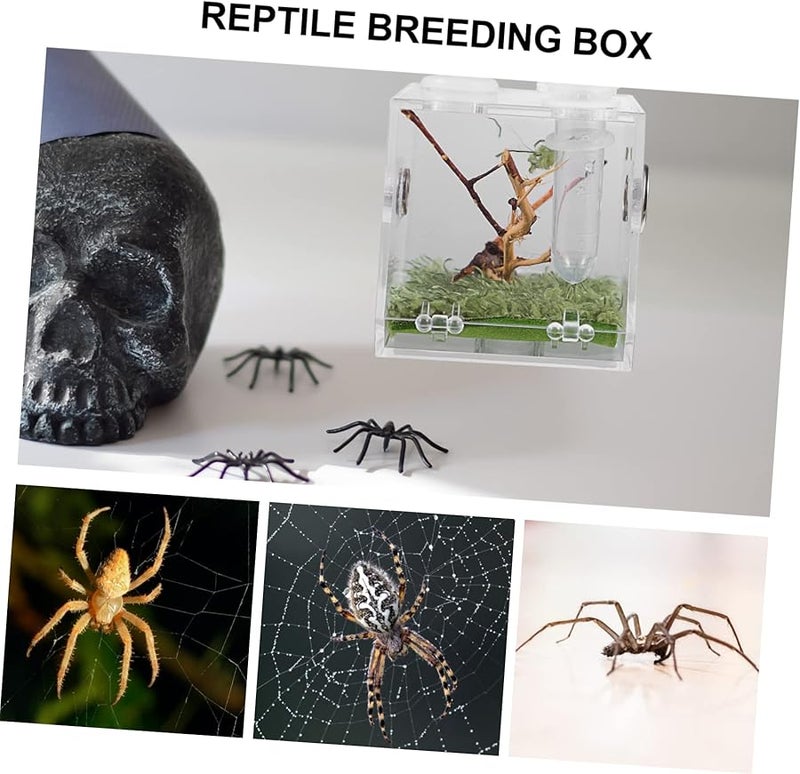 صندوق حوض الزواحف الشفاف مع تهوية، موطن سهل التنظيف لعناكب القفز - Image 4