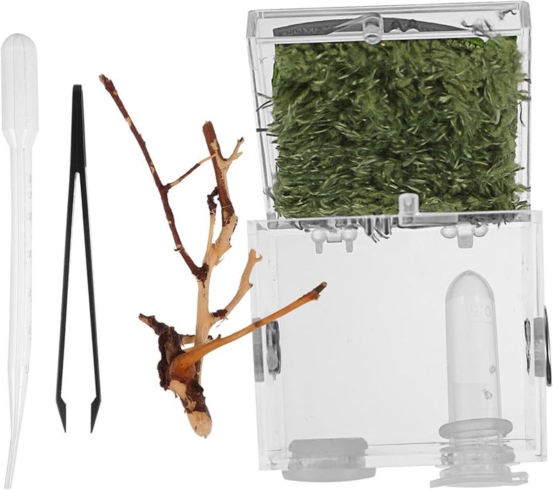 صندوق حوض الزواحف الشفاف مع تهوية، موطن سهل التنظيف لعناكب القفز - Image 2